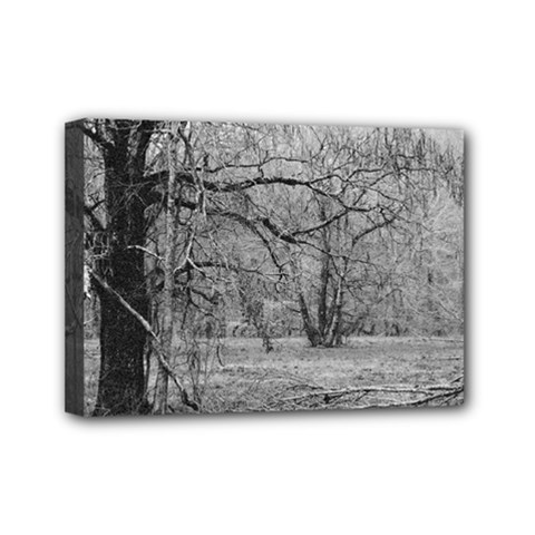 Black And White Forest 5  X 7  Framed Canvas Print by Elanga