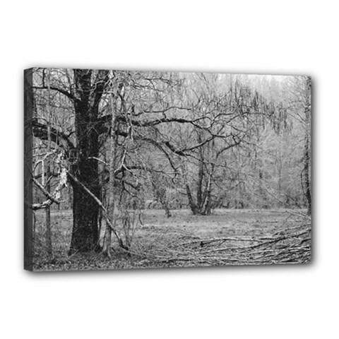 Black And White Forest 12  X 18  Framed Canvas Print by Elanga