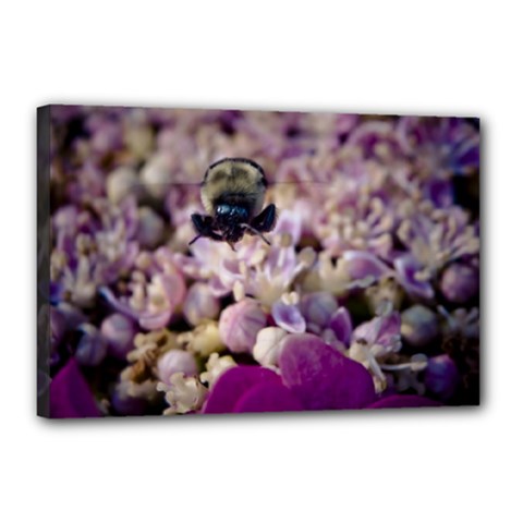 Flying Bumble Bee 12  X 18  Framed Canvas Print by Elanga