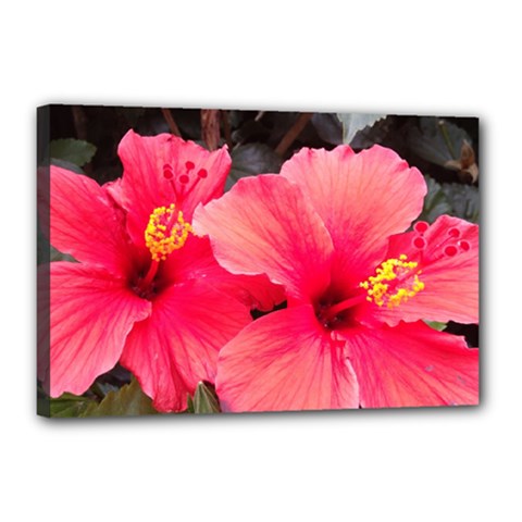 Red Hibiscus Canvas 18  X 12  (framed) by ADIStyle