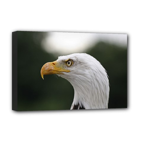 Bald Eagle (1) Deluxe Canvas 18  X 12  (framed) by smokeart