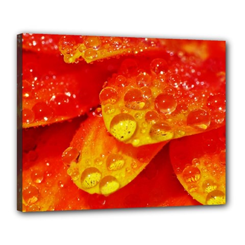 Waterdrops Canvas 20  X 16  (framed) by Siebenhuehner