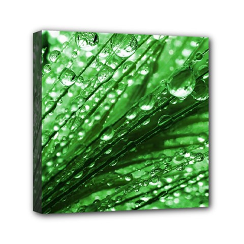 Waterdrops Mini Canvas 6  X 6  (framed) by Siebenhuehner