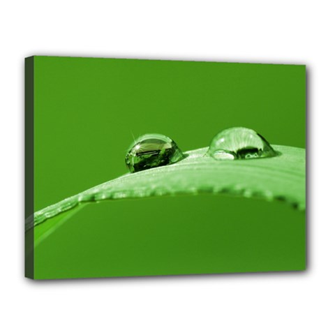 Waterdrops Canvas 16  X 12  (framed) by Siebenhuehner