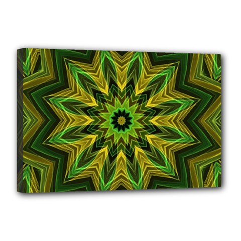 Woven Jungle Leaves Mandala Canvas 18  X 12  (framed) by Zandiepants