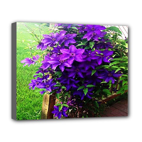 Purple Flowers Deluxe Canvas 20  X 16  (framed) by Rbrendes