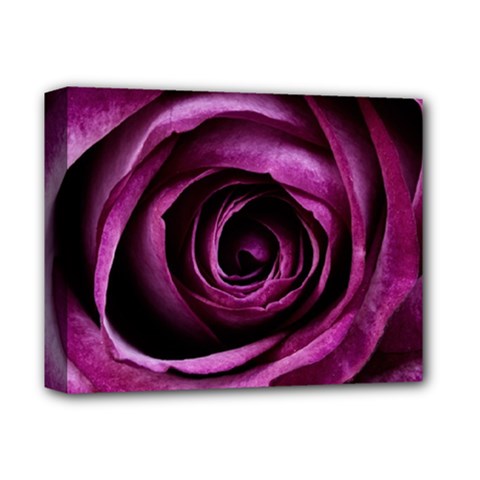 Deep Purple Rose Deluxe Canvas 14  X 11  (framed) by Colorfulart23