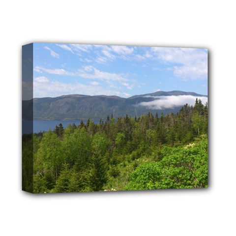 Newfoundland Deluxe Canvas 14  X 11  (framed) by DmitrysTravels