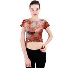 Star Dream Crew Neck Crop Top by icarusismartdesigns