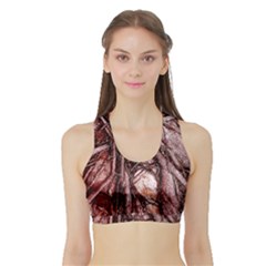 The Bleeding Tree Women s Sports Bra With Border by InsanityExpressed