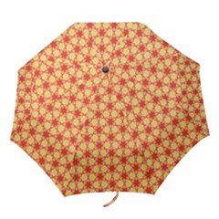 Cute Pretty Elegant Pattern Folding Umbrellas by GardenOfOphir