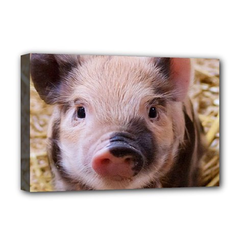 Sweet Piglet Deluxe Canvas 18  X 12   by ImpressiveMoments