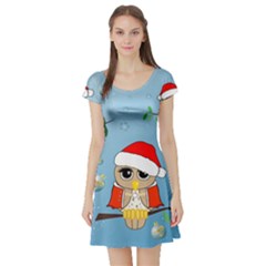 Funny, Cute Christmas Owls With Snowflakes Short Sleeve Skater Dresses by FantasyWorld7