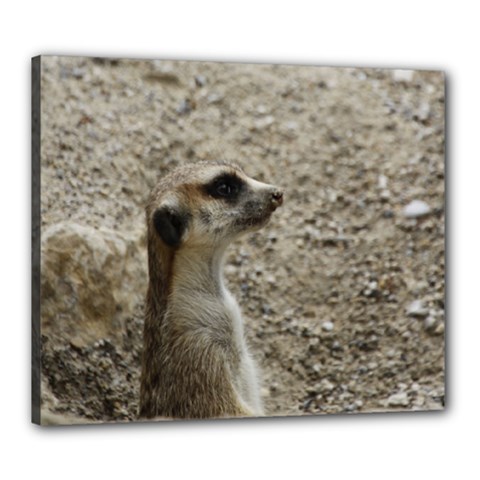 Adorable Meerkat Canvas 24  X 20  by ImpressiveMoments