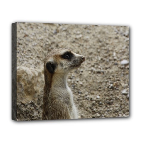 Adorable Meerkat Deluxe Canvas 20  X 16   by ImpressiveMoments