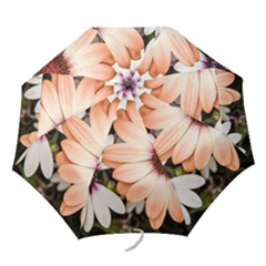 Beautiful Colourful African Daisies Folding Umbrellas by OZMedia