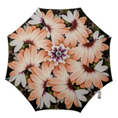 Beautiful Colourful African Daisies Hook Handle Umbrellas (small) by OZMedia