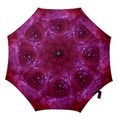 Rosette Nebula 1 Hook Handle Umbrellas (large) by trendistuff