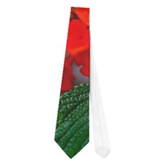 Butterfly Flowers 1 Neckties (one Side)  by trendistuff