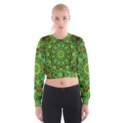 Peacock Feathers Mandala Women s Cropped Sweatshirt by Zandiepants