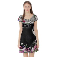 Freckles In Flowers Ii, Black White Tux Cat Short Sleeve Skater Dress by DianeClancy