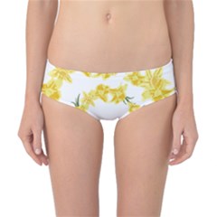 Daffodils Illustration  Classic Bikini Bottoms by vanessagf