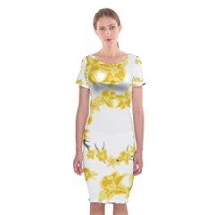 Daffodils Illustration  Classic Short Sleeve Midi Dress by vanessagf