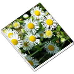 White Summer Flowers Oil Painting Art Small Memo Pads by picsaspassion