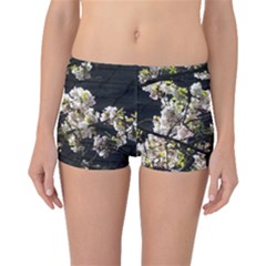 Japanese Cherry Blossom Boyleg Bikini Bottoms by picsaspassion