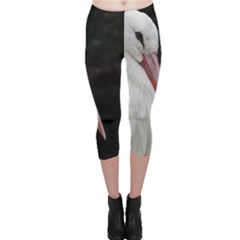 Stork Bird Capri Leggings  by picsaspassion