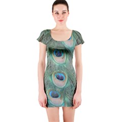 Peacock Feathers Macro Short Sleeve Bodycon Dress by GiftsbyNature