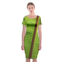 Ensete Leaf Classic Short Sleeve Midi Dress by picsaspassion