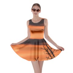 Tree Branches And Sunset Skater Dress by picsaspassion