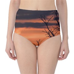 Tree Branches And Sunset High-waist Bikini Bottoms by picsaspassion