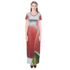 Red Tulips Short Sleeve Maxi Dress by picsaspassion