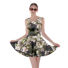 Blooming Japanese Cherry Flowers Skater Dress by picsaspassion