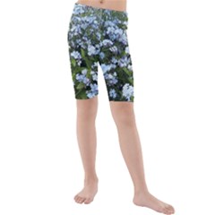 Blue Forget-me-not Flowers Kids  Mid Length Swim Shorts by picsaspassion