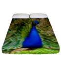 Peacock Animal Photography Beautiful Fitted Sheet (King Size) View1