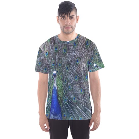 Peacock Four Spot Feather Bird Men s Sport Mesh Tee by Nexatart