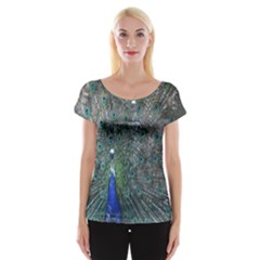 Peacock Four Spot Feather Bird Women s Cap Sleeve Top by Nexatart