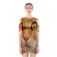 Cat Red Cute Mackerel Tiger Sweet Shoulder Cutout One Piece by Nexatart