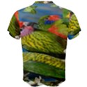 Beautifull Parrots Bird Men s Cotton Tee View2