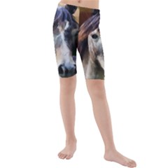 Horse Horse Portrait Animal Kids  Mid Length Swim Shorts by Nexatart