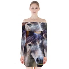 Horse Horse Portrait Animal Long Sleeve Off Shoulder Dress by Nexatart