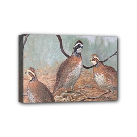 Bob White Quail Mini Canvas 6  X 4  by digitaldivadesigns