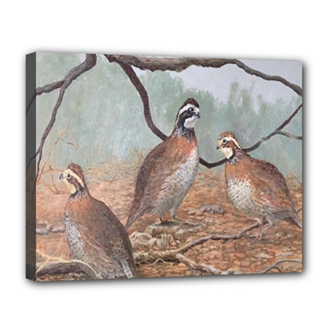 Bob White Quail Canvas 14  X 11  by digitaldivadesigns