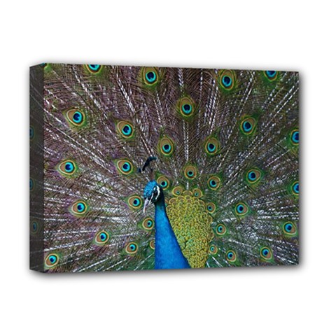 Peacock Feather Beat Rad Blue Deluxe Canvas 16  X 12   by Amaryn4rt