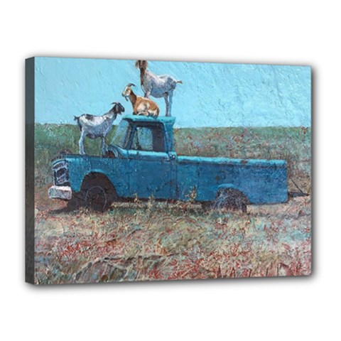 Goats On A Pickup Truck Canvas 16  X 12  by digitaldivadesigns