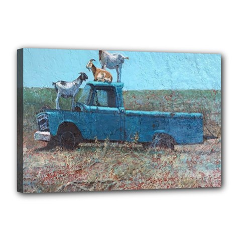 Goats On A Pickup Truck Canvas 18  X 12  by digitaldivadesigns