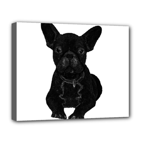 Bulldog Deluxe Canvas 20  X 16   by Valentinaart